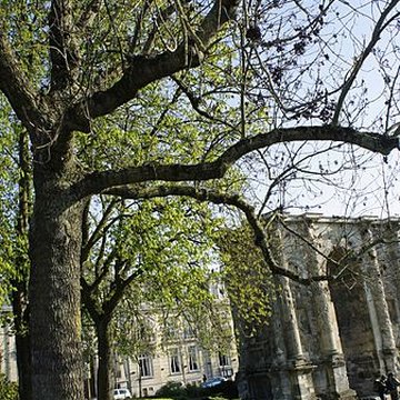 Porte de Mars à Reims