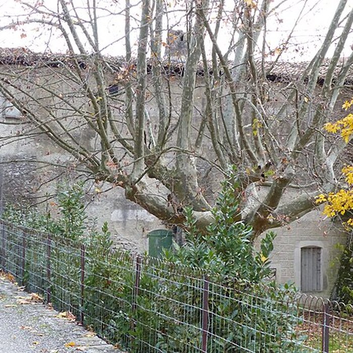 Photo de Château de Saint-Ferréol à Pont-de-Barret