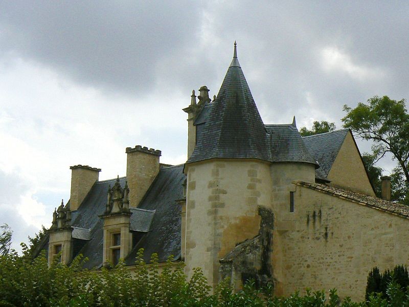 Photo de Château de Saint-Gelais
