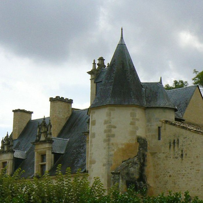 Photo de Château de Saint-Gelais
