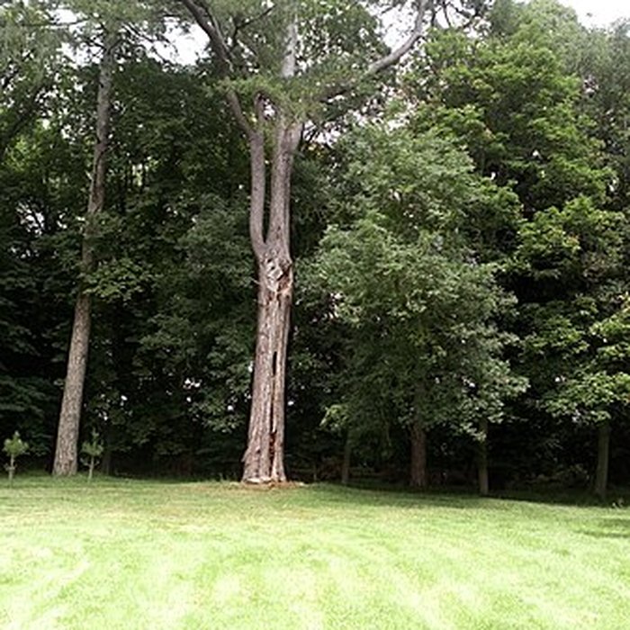 Photo de Château de Saint-Gratien