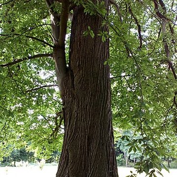 Château de Saint-Gratien