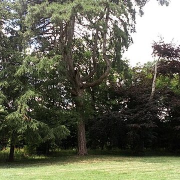 Château de Saint-Gratien