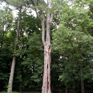 Château de Saint-Gratien