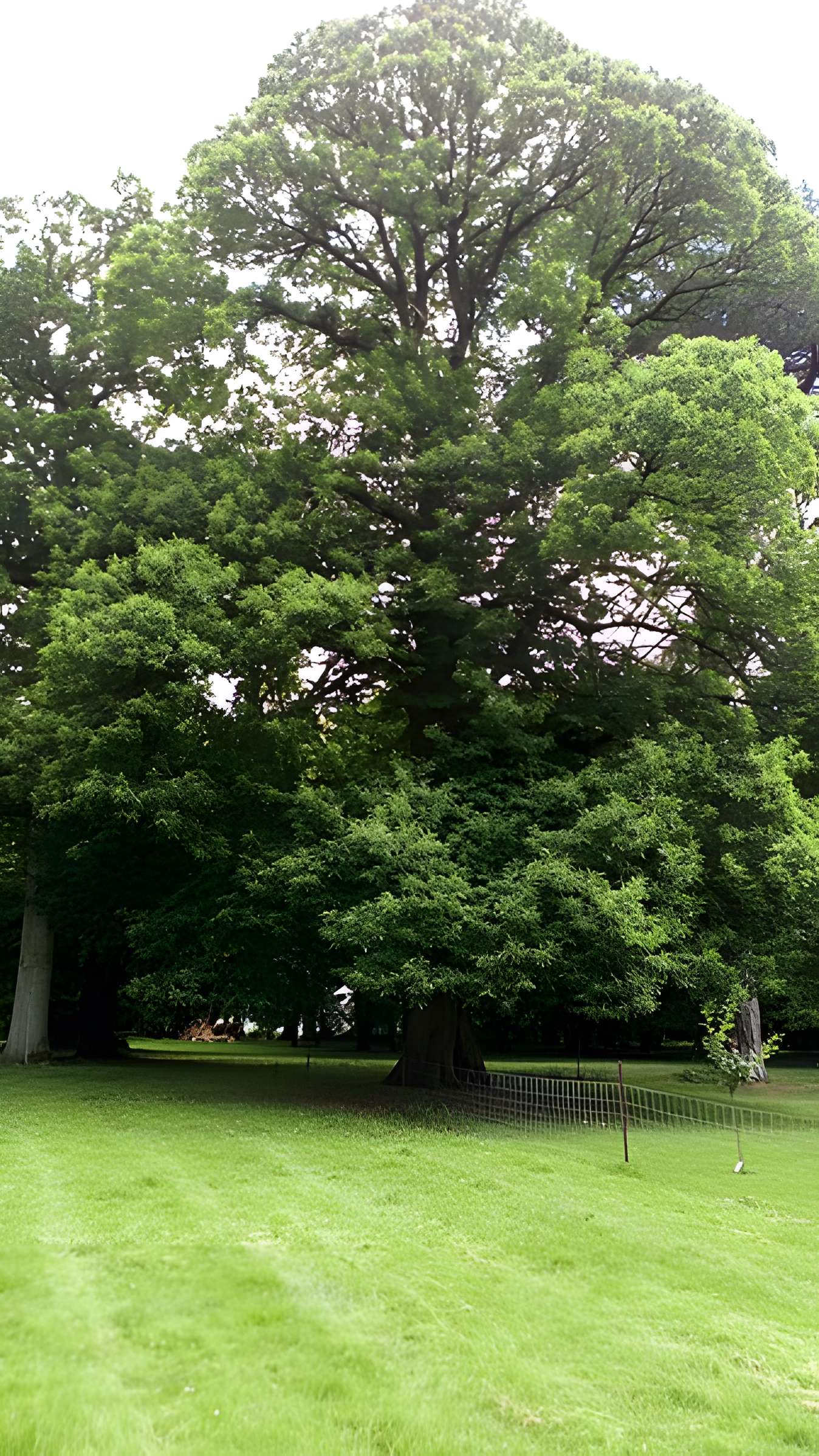 Château de Saint-Gratien