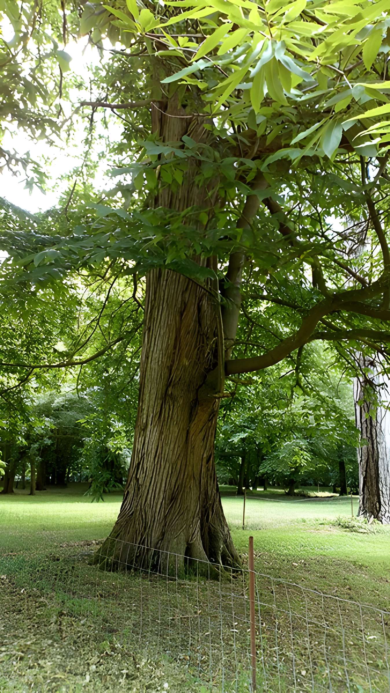 Château de Saint-Gratien