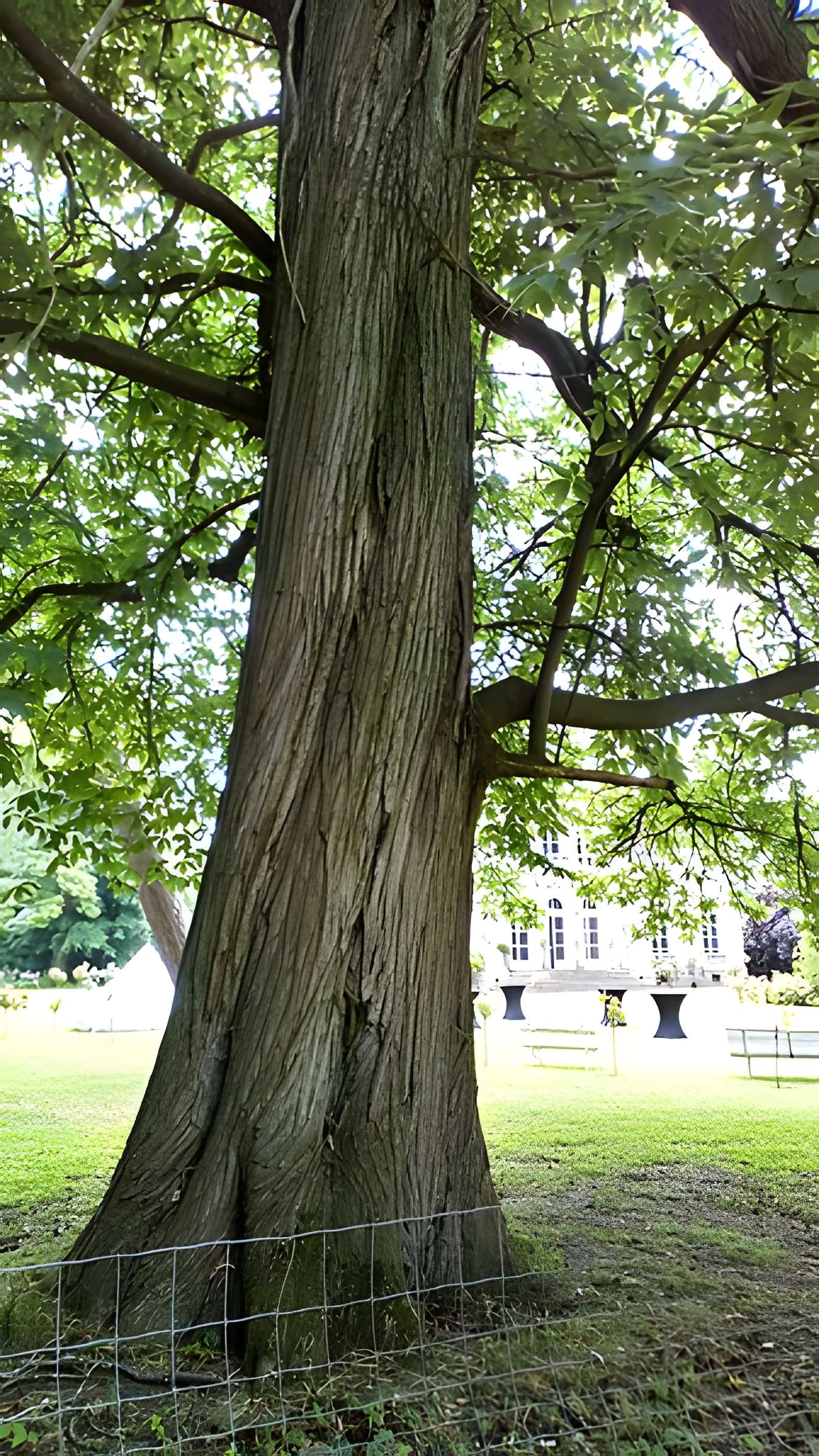 Château de Saint-Gratien
