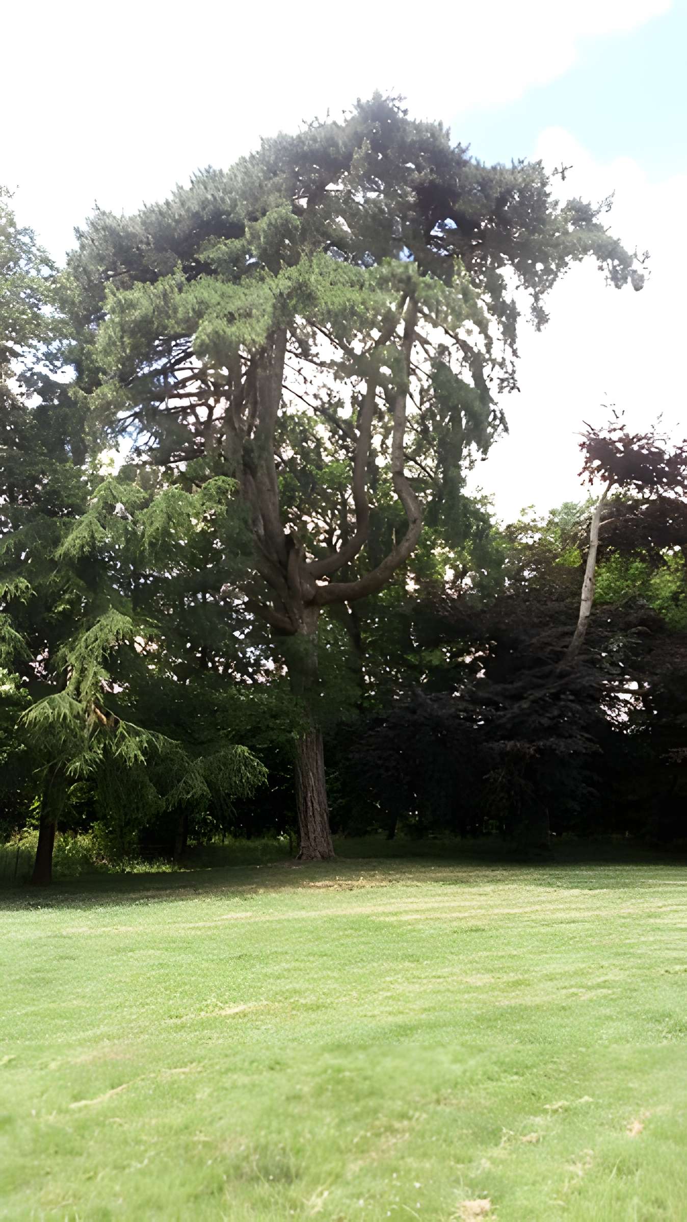 Château de Saint-Gratien