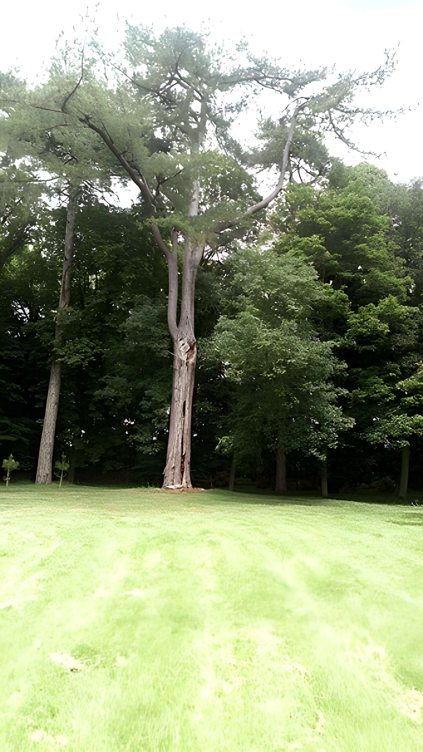 Château de Saint-Gratien