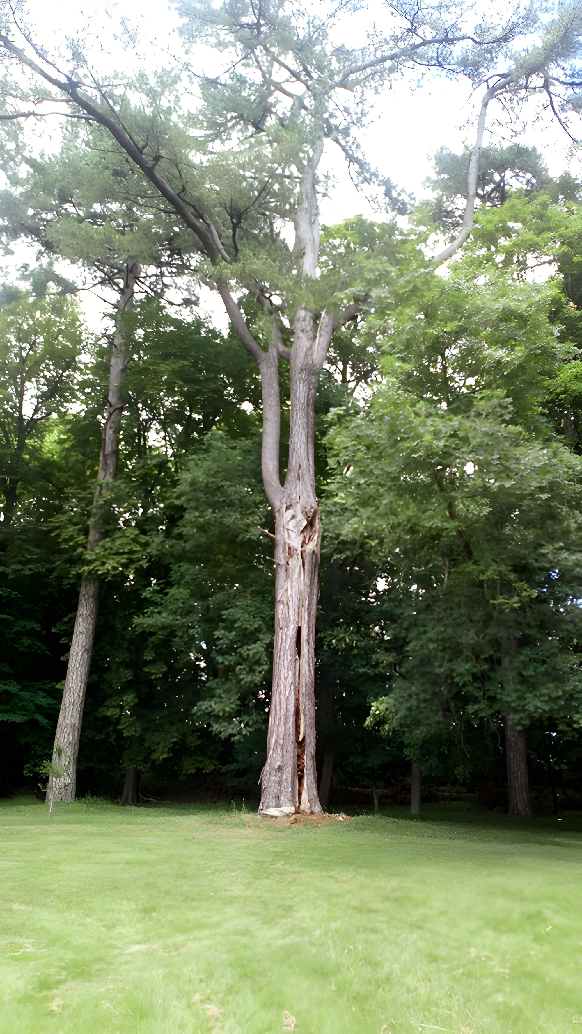 Château de Saint-Gratien