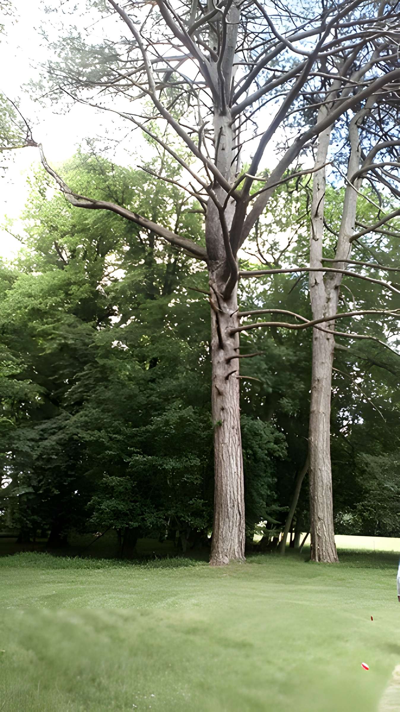 Château de Saint-Gratien