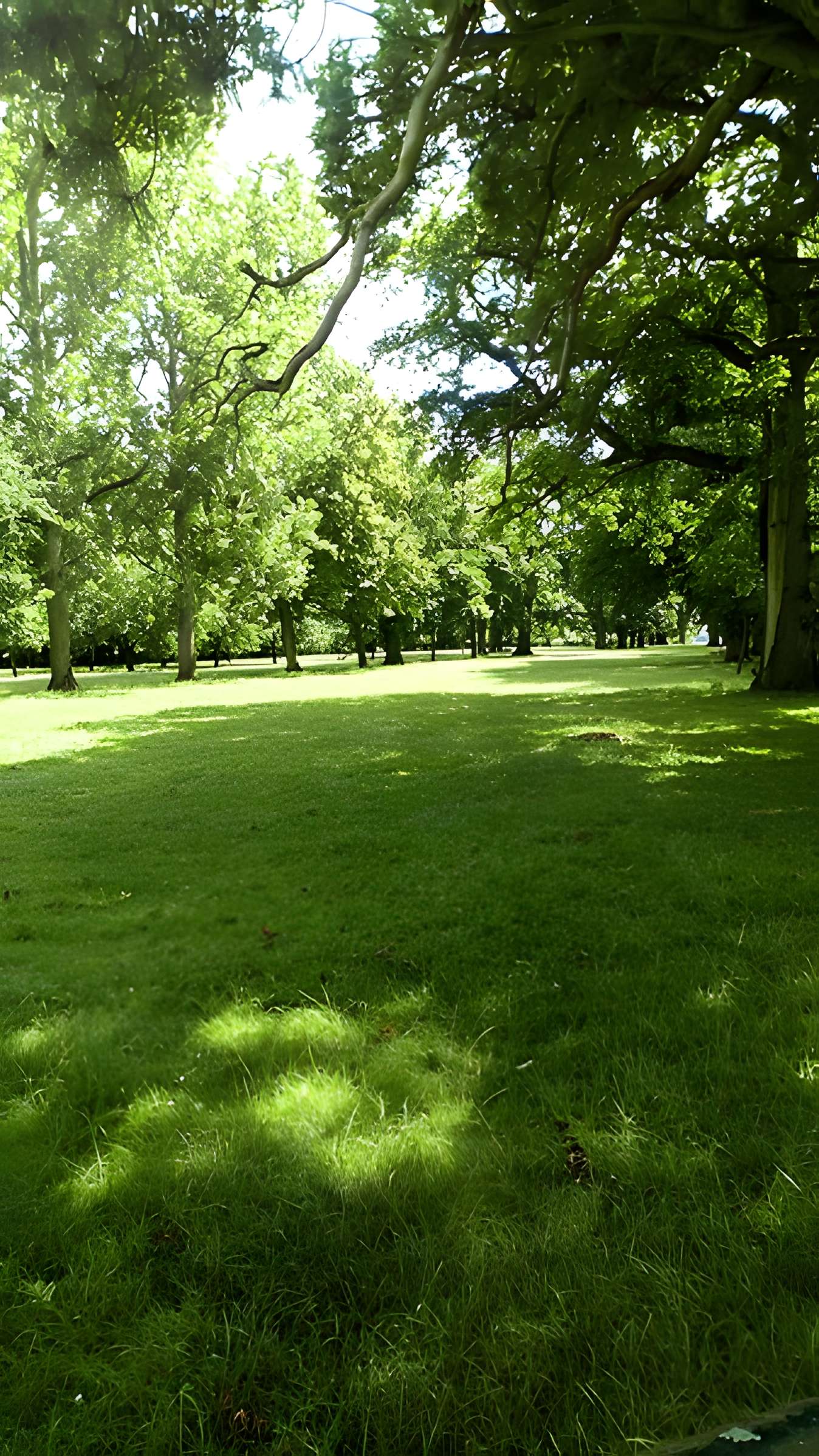 Château de Saint-Gratien