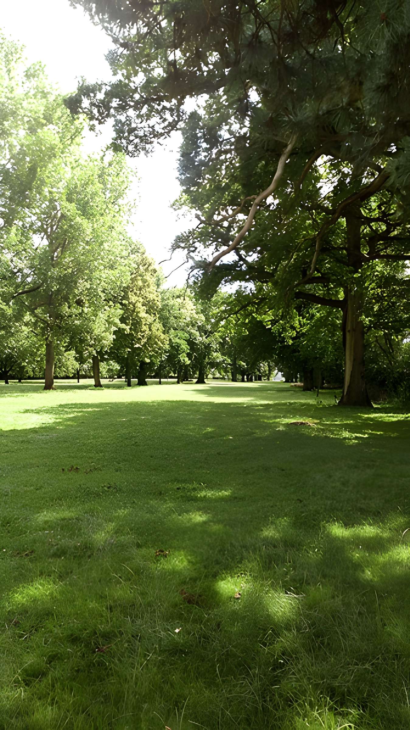 Château de Saint-Gratien