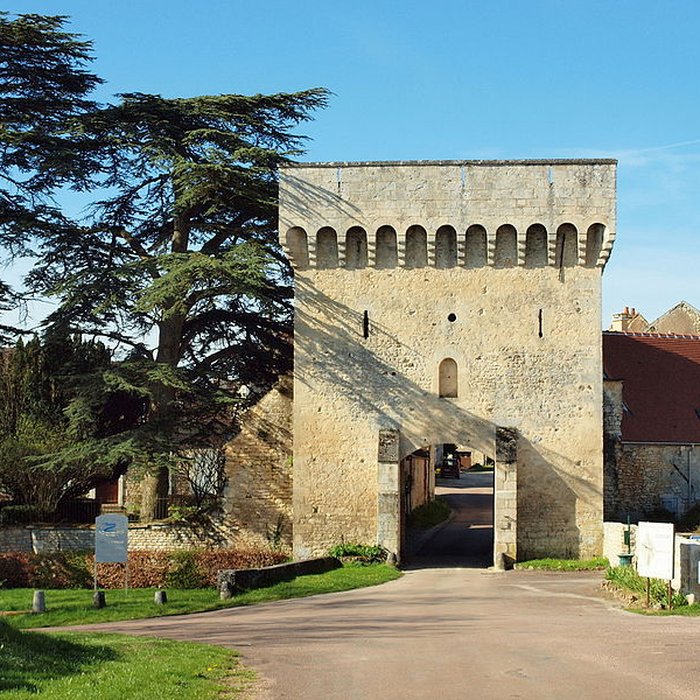 Photo de Porte de ville de Druyes-les-Belles-Fontaines