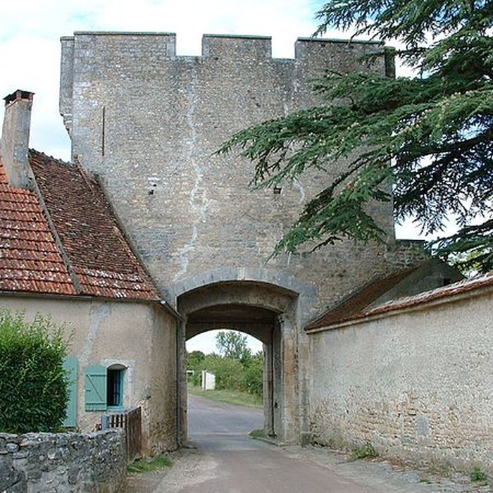 Photo de Porte de ville de Druyes-les-Belles-Fontaines