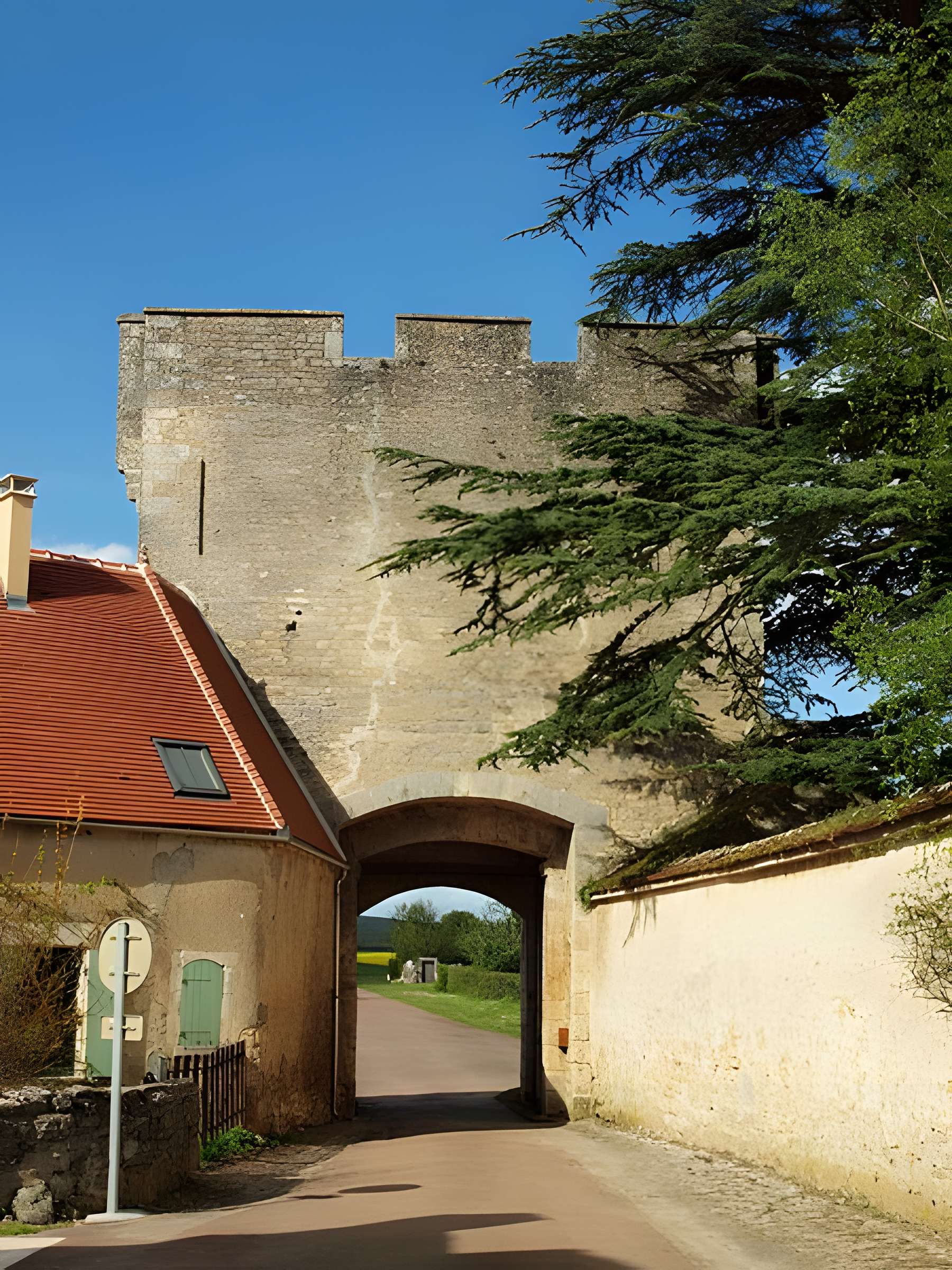 Porte de ville de Druyes-les-Belles-Fontaines