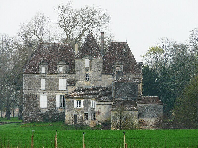 Photo de Château de Saint-Martin à Lamonzie-Saint-Martin