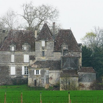 chateau de saint martin a lamonzie saint martin