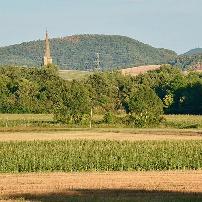 Photo de Ancienne cathédrale Saint-Maurice de Mirepoix