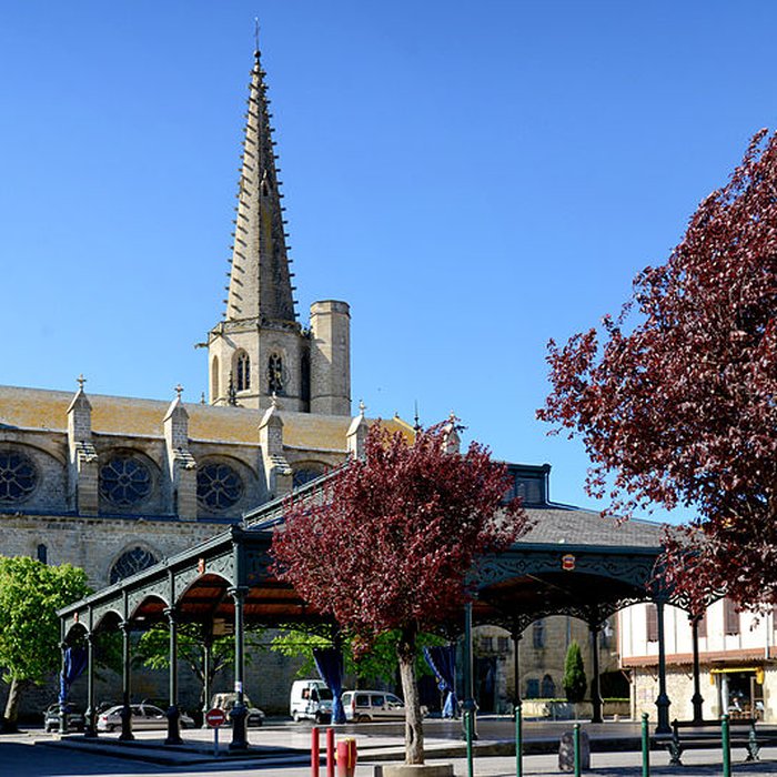 Photo de Ancienne cathédrale Saint-Maurice de Mirepoix