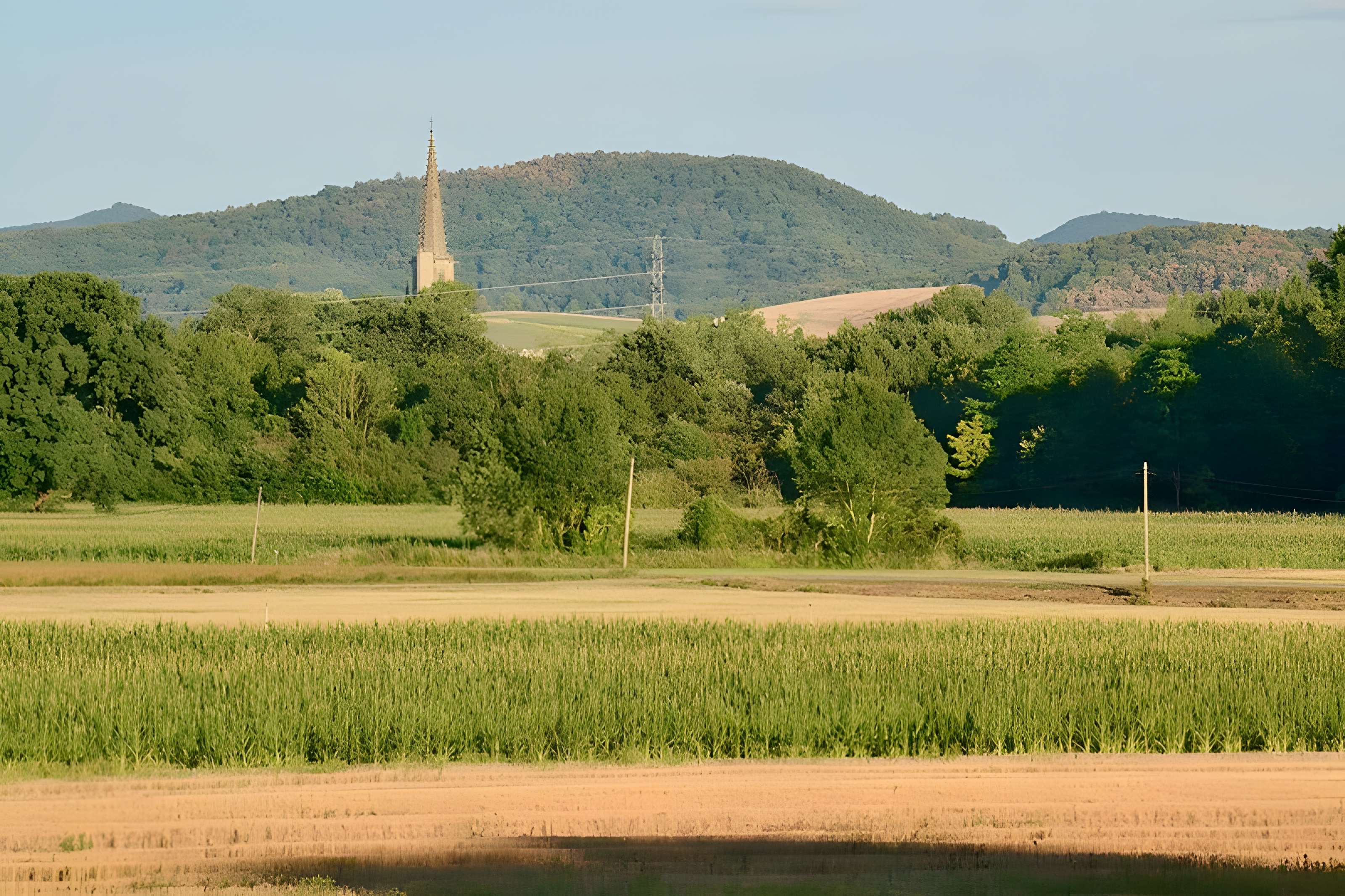 Ancienne cathédrale Saint-Maurice de Mirepoix