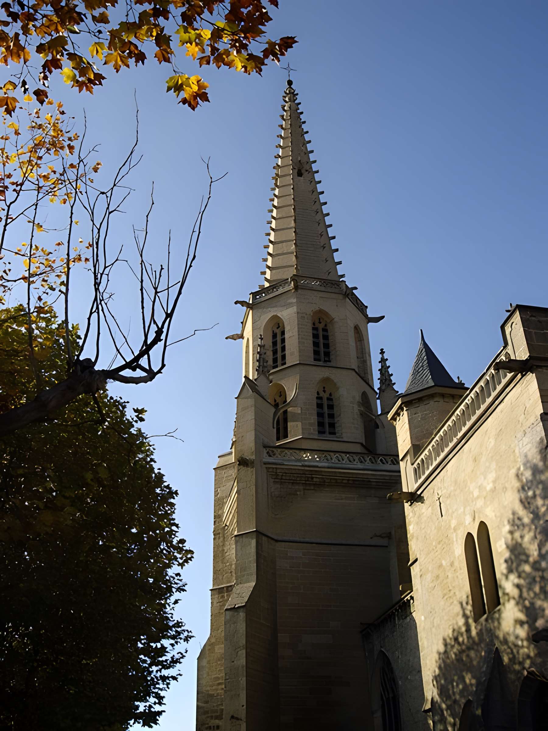 Ancienne cathédrale Saint-Maurice de Mirepoix