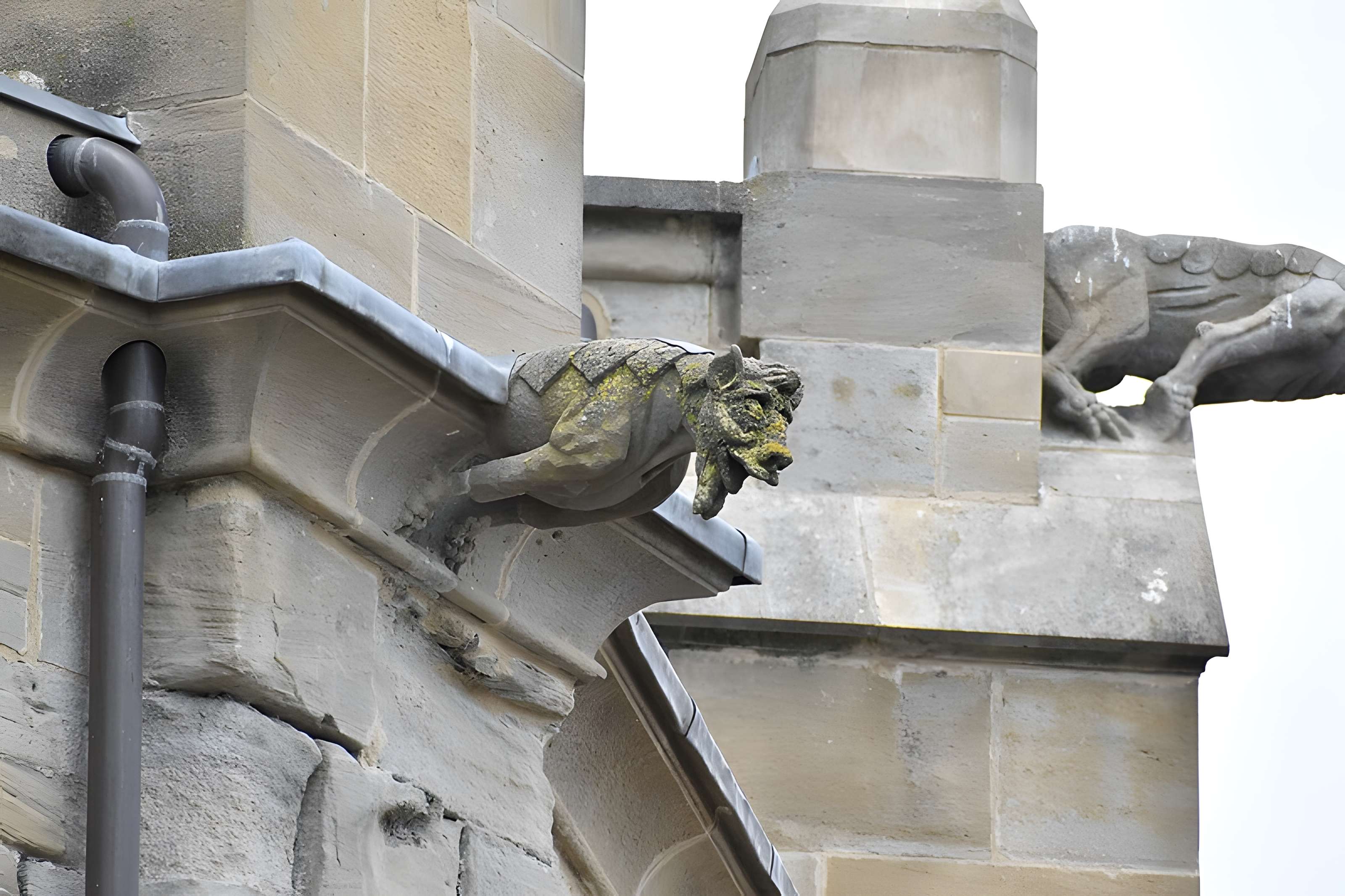 Ancienne cathédrale Saint-Maurice de Mirepoix