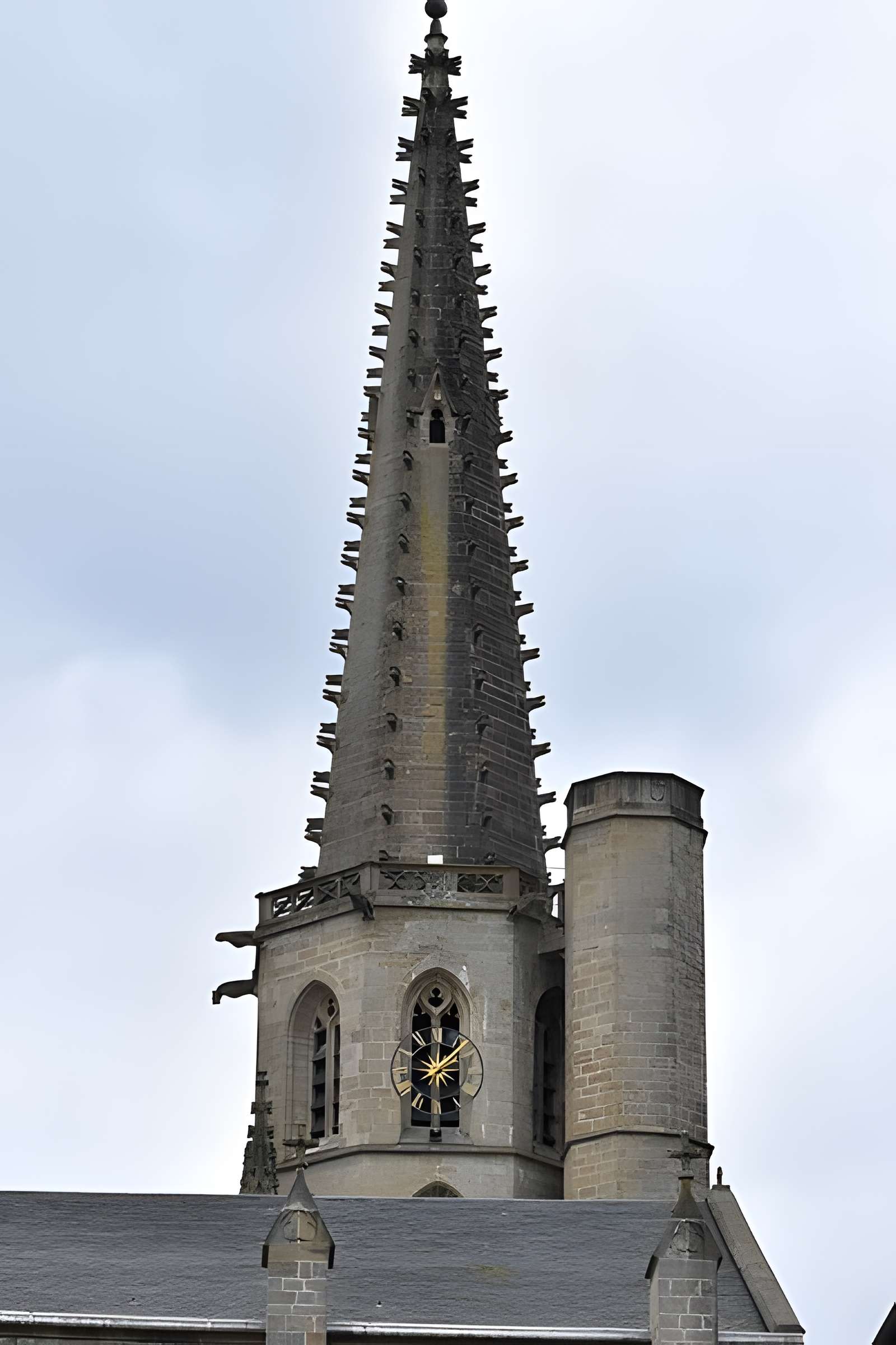 Ancienne cathédrale Saint-Maurice de Mirepoix