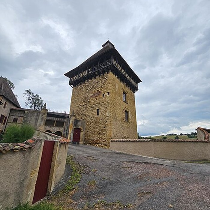 Photo de Château de Saint-Pierre-la-Noaille
