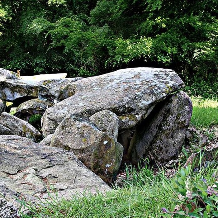 Photo de Domaine du château également sur commune de Lapenty