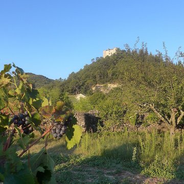 Château de Saint-Thomé