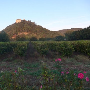 Château de Saint-Thomé