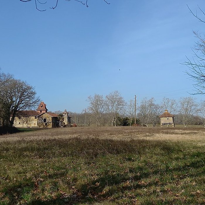 Photo de Château de Salleneuve