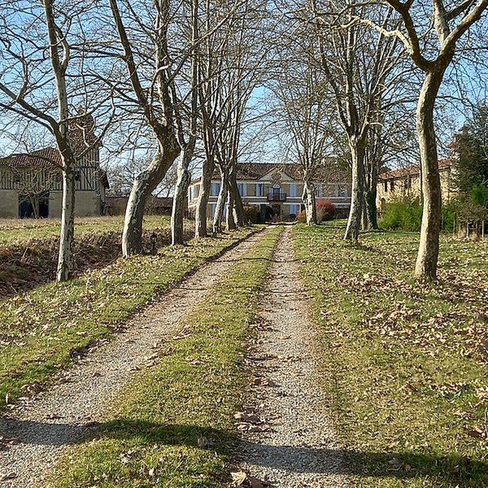 Photo de Château de Salleneuve