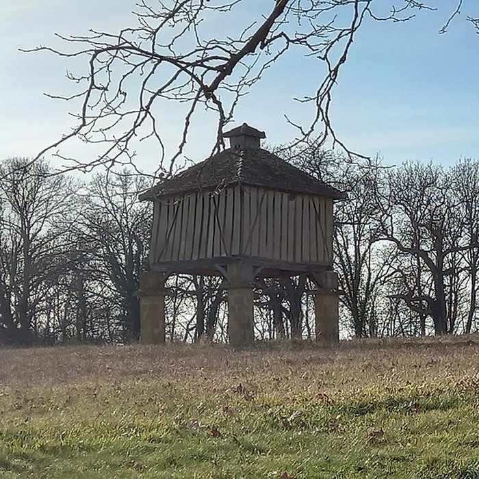 Photo de Château de Salleneuve