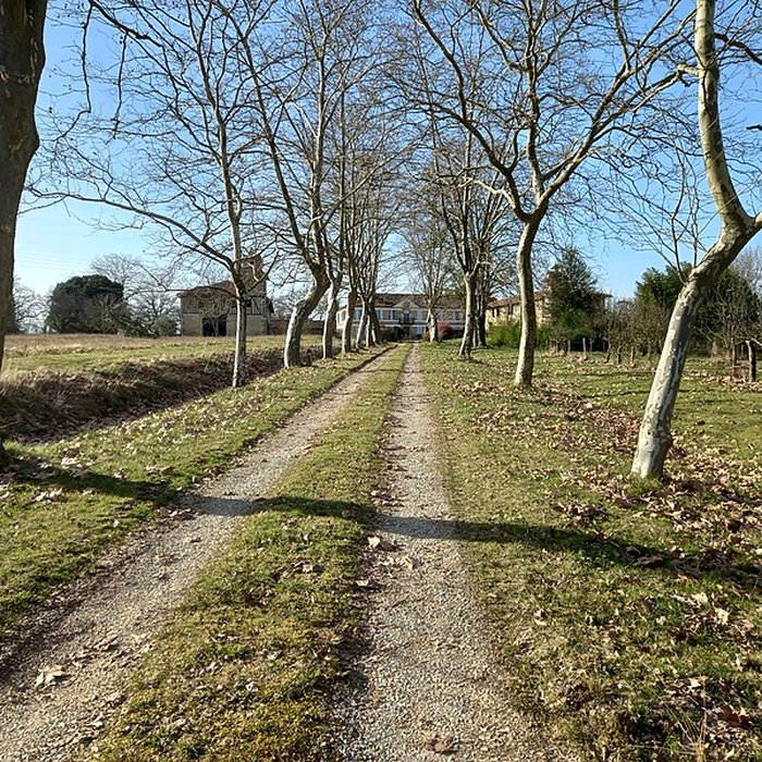 Photo de Château de Salleneuve