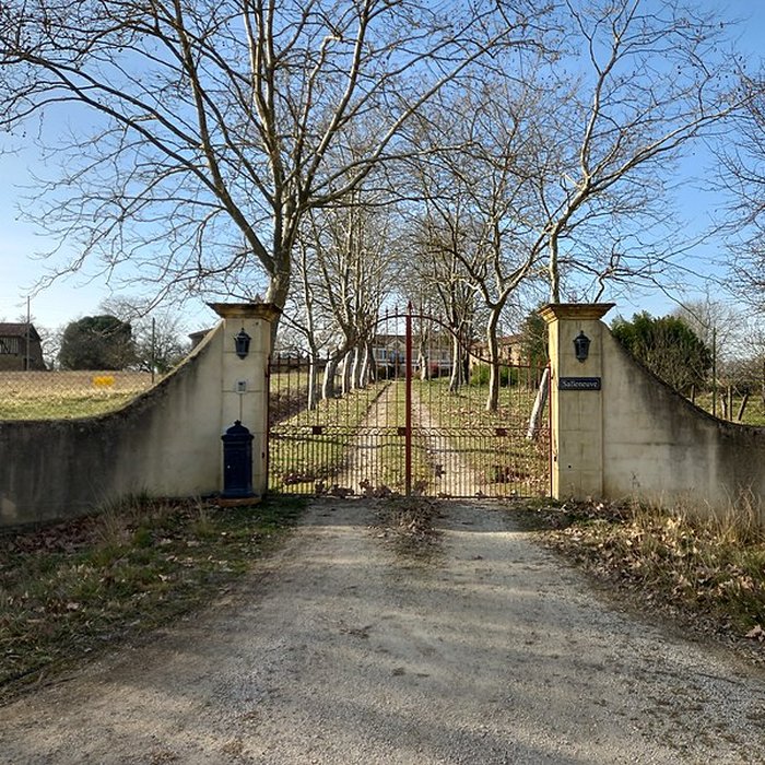 Photo de Château de Salleneuve