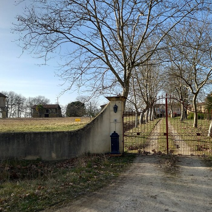Photo de Château de Salleneuve