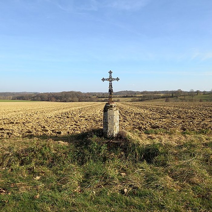 Photo de Château de Salleneuve
