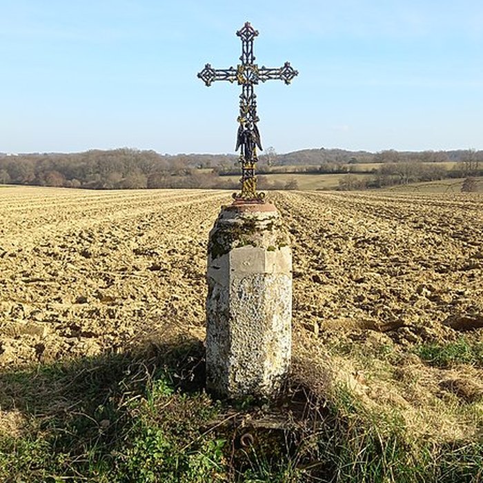 Photo de Château de Salleneuve