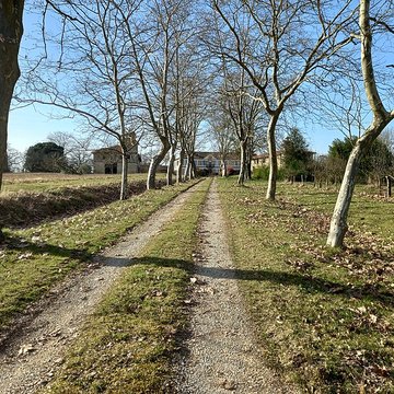 Château de Salleneuve