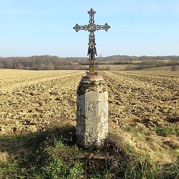 Château de Salleneuve