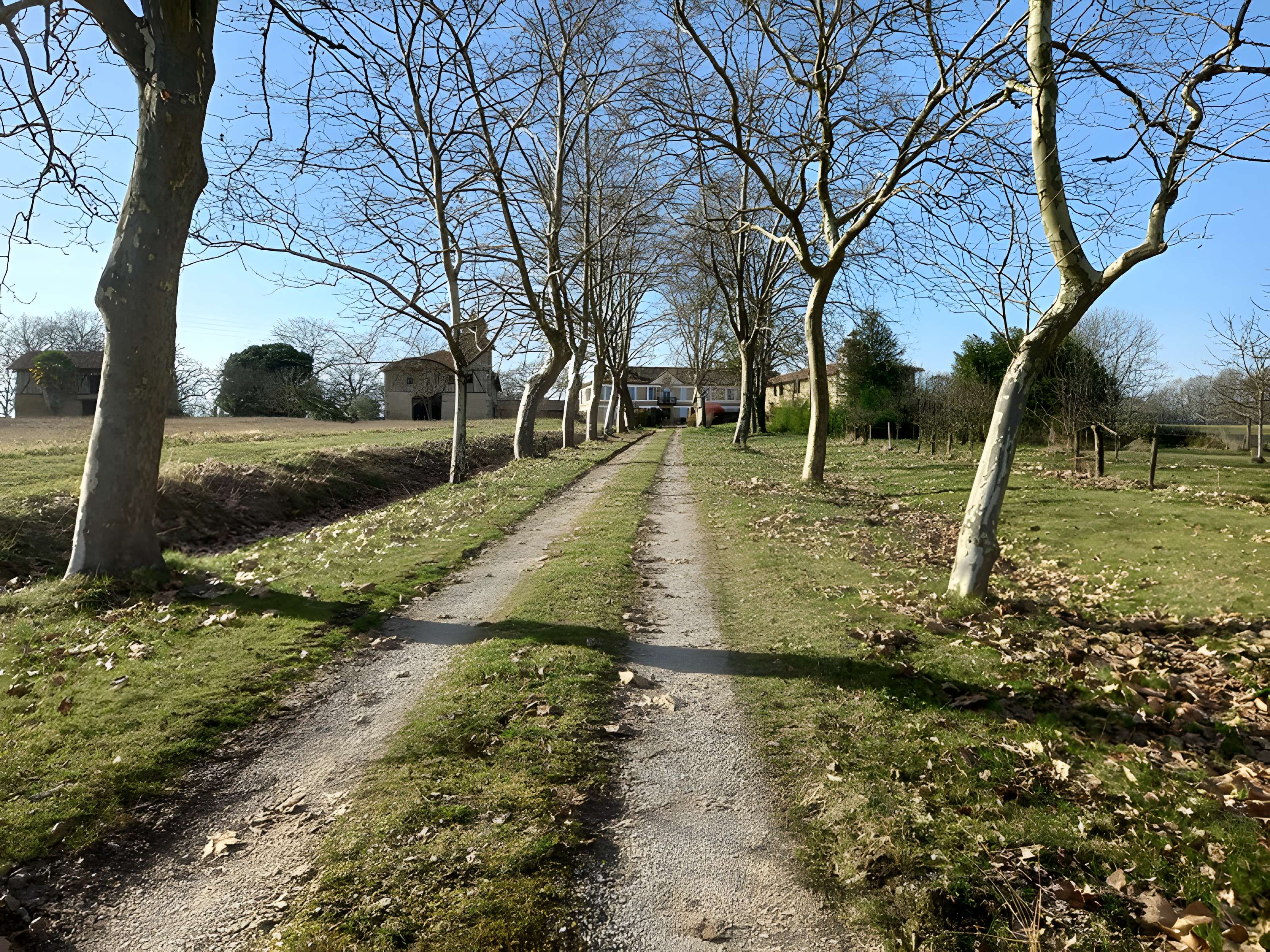 Château de Salleneuve