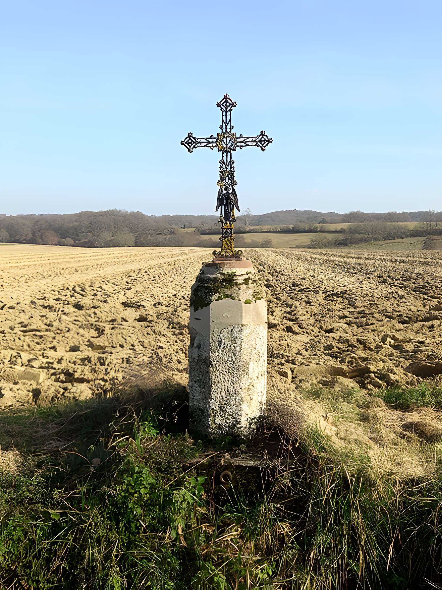 Château de Salleneuve