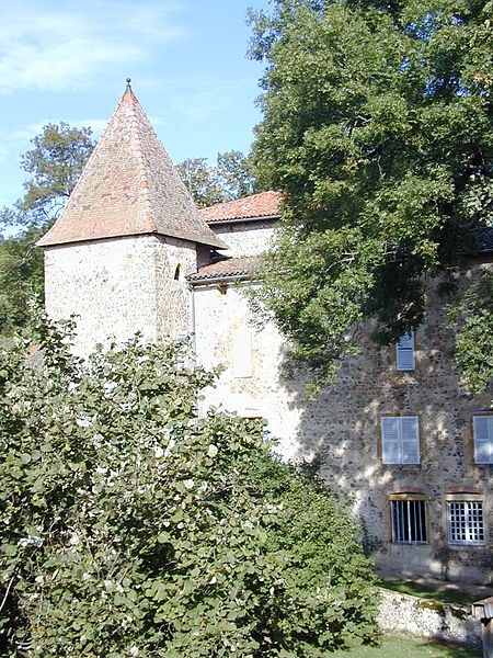 Photo de Château de Sarron