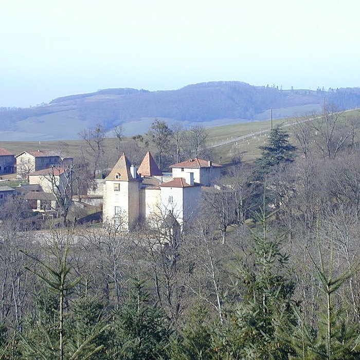 Photo de Château de Sarron