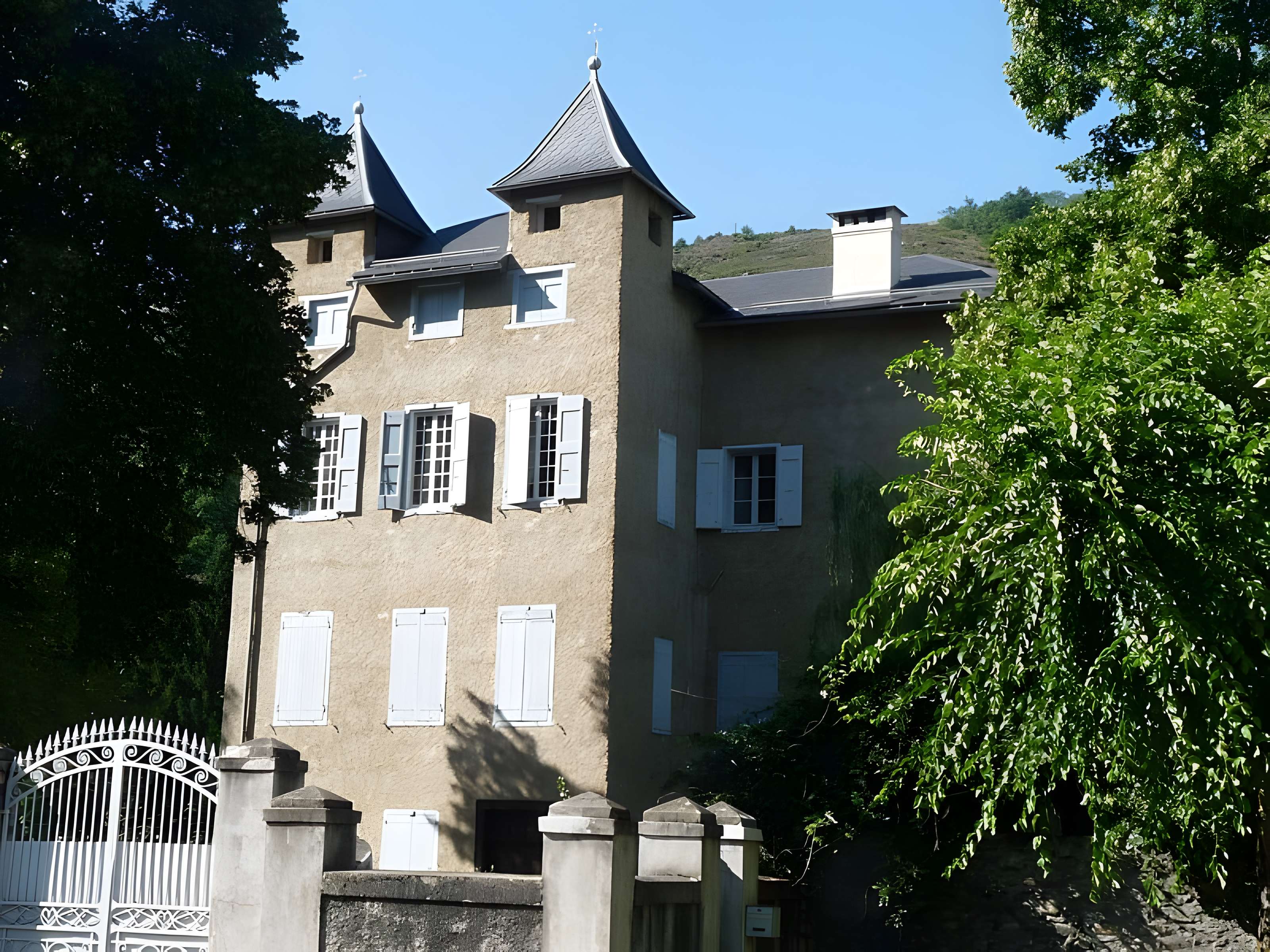 Château de Savignac à Savignac-les-Ormeaux 