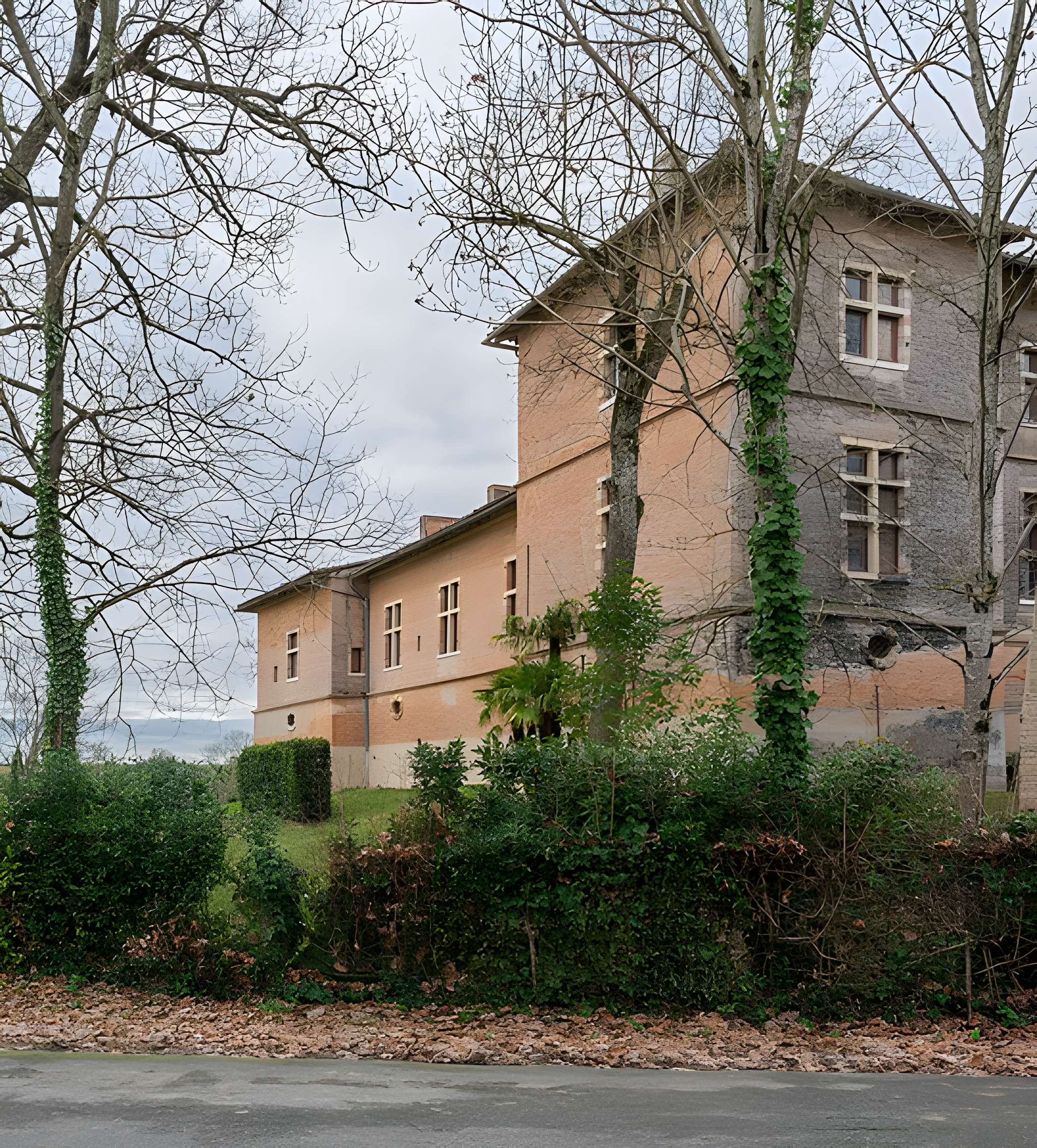 Château de Savignac à Savignac-Mona