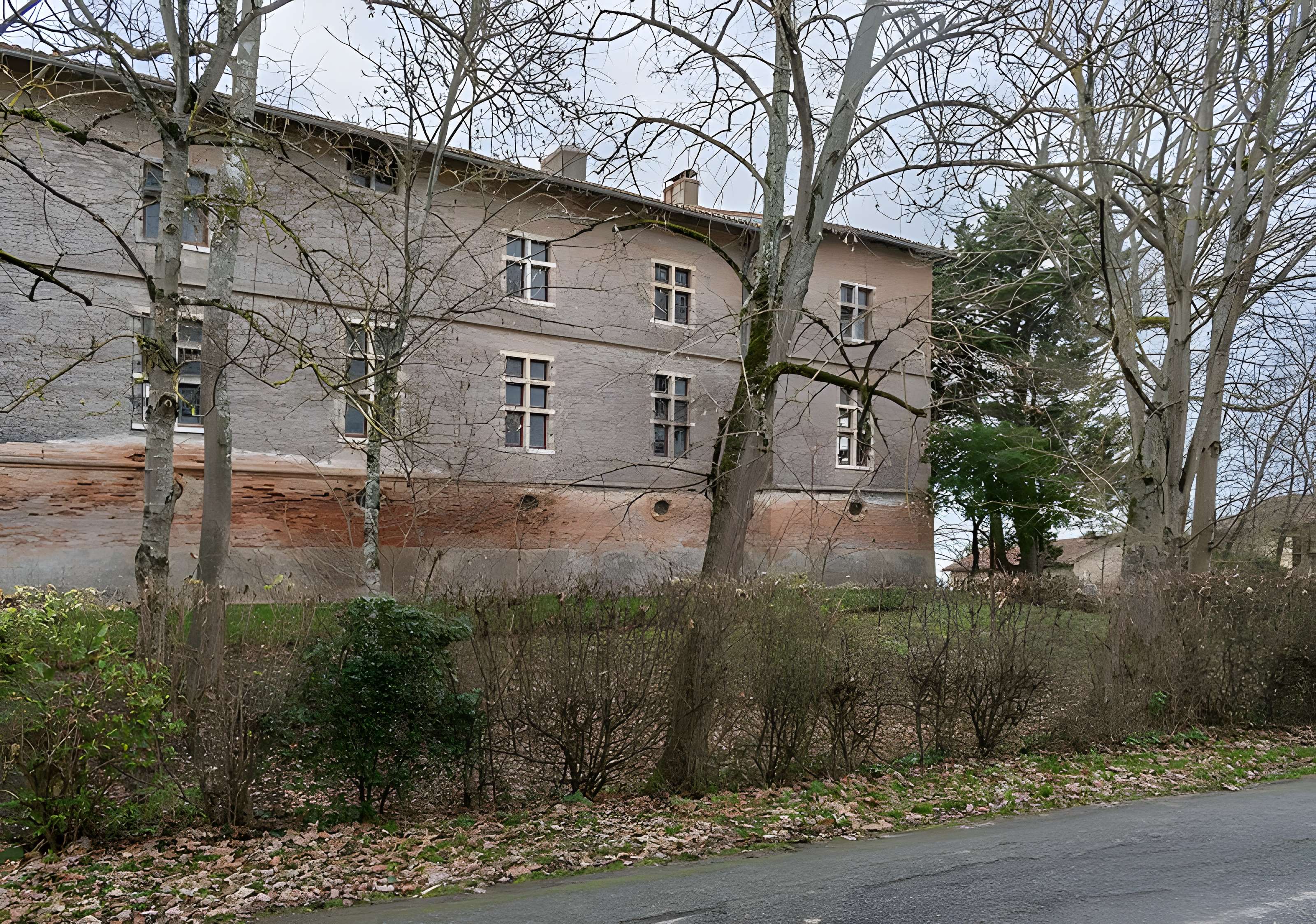 Château de Savignac à Savignac-Mona