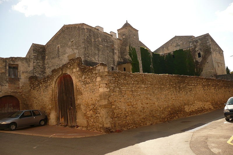 Photo de Château de Saze